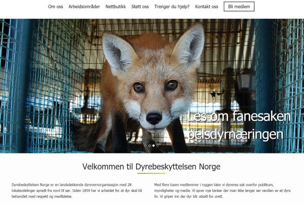 Dyrebeskyttelsen Norge nye sider