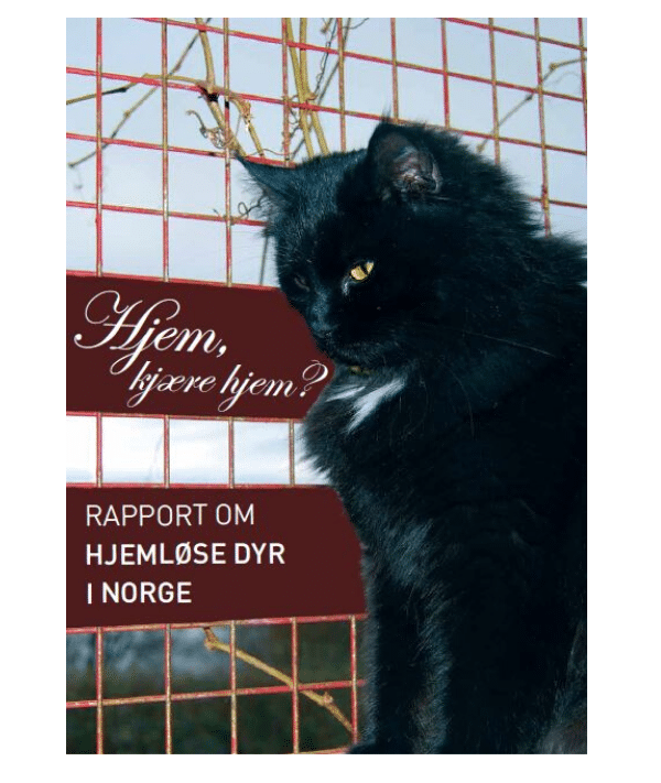 Forside rapport Hjem, kjære hjem - Dyr uten hjem (2009)