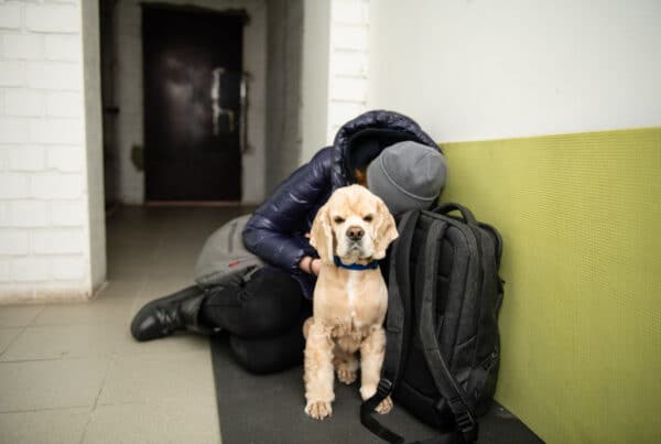 Hund og eie, Ukraina mars 2022. Foto: O_Lypa/Shutterstock