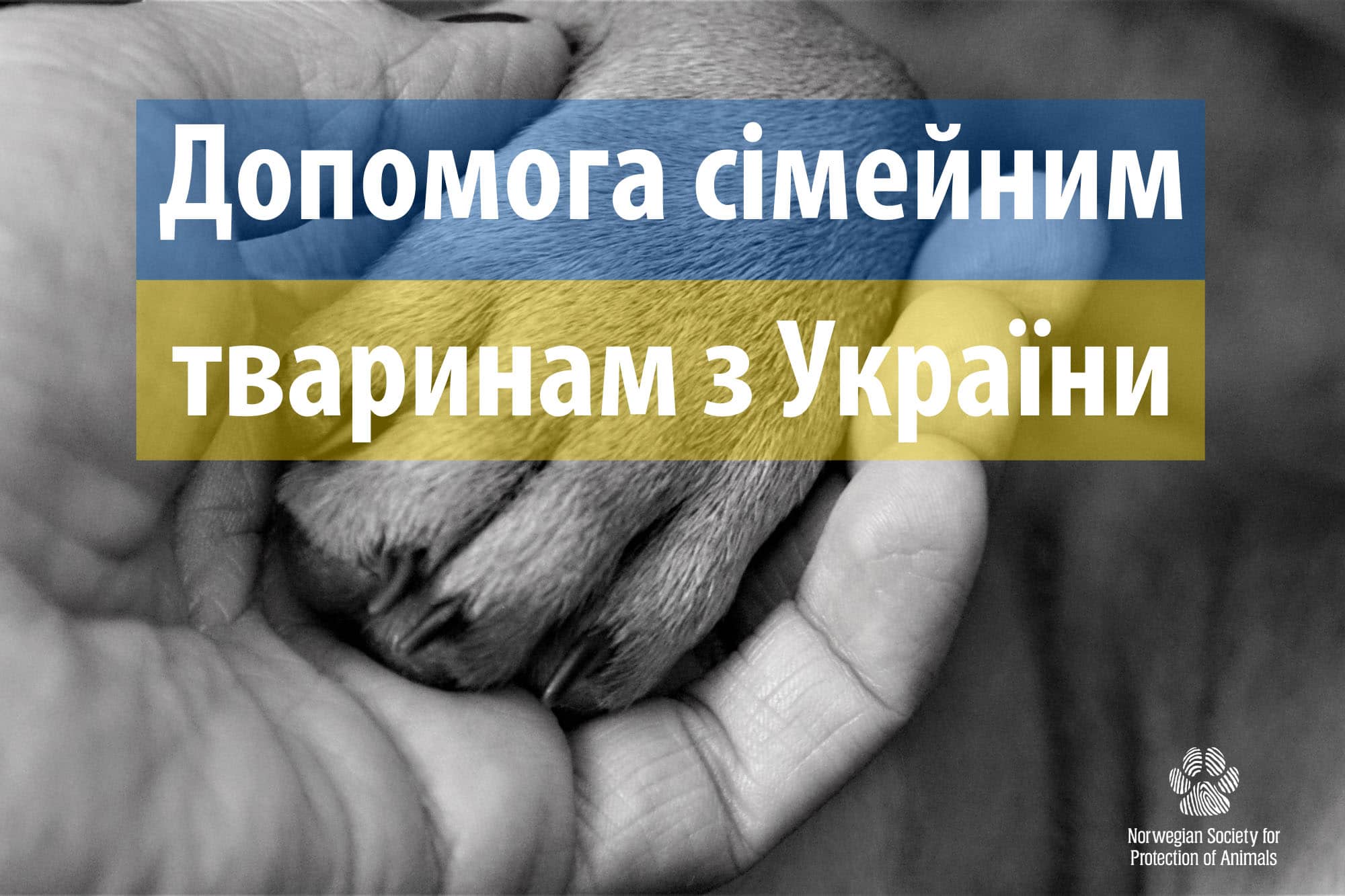 Допомога сімейним тваринам з України
