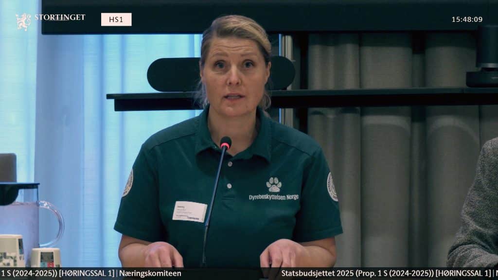 høring av statsbudsjettet 2025