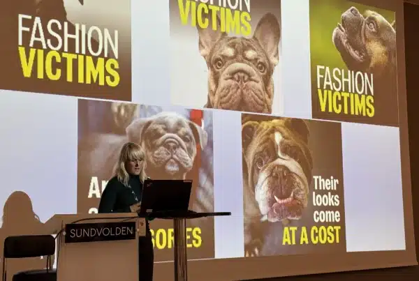 RSPCA holder foredrag om hundeavl foran en skjerm med kortsnutede hunder
