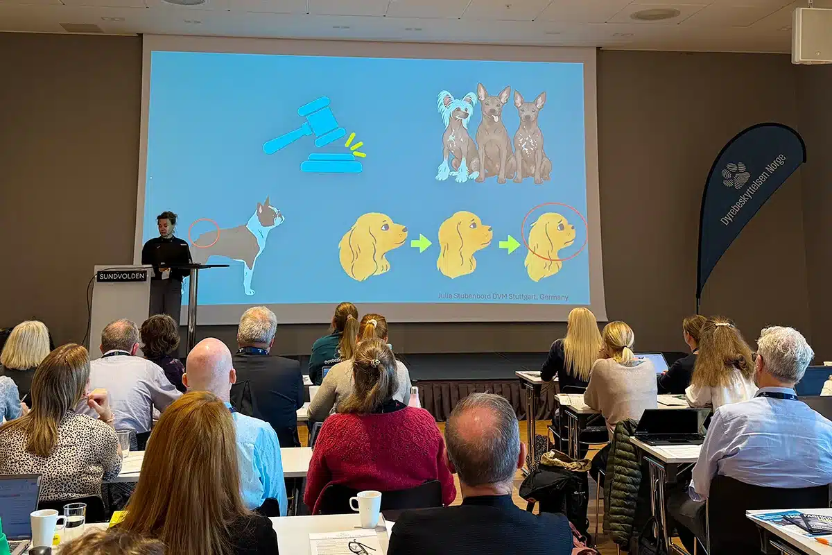 Dyrebeskyttelsen-Norge-hundeavl-Symposium-2026-foredag Foredragsholder ved talerstolen foran deltakere på Dyrebeskyttelsen Norges symposium om hundeavl.